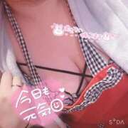 チトセ 🍀おはようございます☀️🍀 ドMな奥様 名古屋・錦店