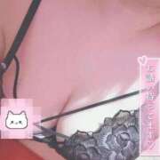 ヒメ日記 2026/05/06 16:00 投稿 チトセ ドMな奥様 名古屋・錦店