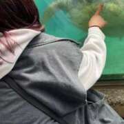 ヒメ日記 2026/01/19 22:28 投稿 レイナ【FG系列】 デリぽちゃin柏（FG系列）