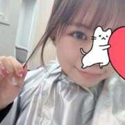 ヒメ日記 2026/02/19 15:02 投稿 おうか 浜松人妻援護会