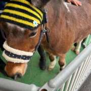 ヒメ日記 2026/04/07 10:21 投稿 なな 宮城仙南ちゃんこ