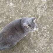 ヒメ日記 2026/01/23 09:11 投稿 えるな スピード難波店