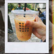 ヒメ日記 2026/02/23 10:30 投稿 れお 兵庫加東小野ちゃんこ