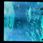 ヒメ日記 2026/03/03 13:13 投稿 れお 兵庫加東小野ちゃんこ