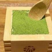 ヒメ日記 2026/04/11 13:04 投稿 れお 兵庫加東小野ちゃんこ