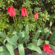 ヒメ日記 2026/03/28 22:57 投稿 ふみ ハピネス東京