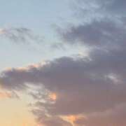 ヒメ日記 2026/05/05 19:37 投稿 ふみ ハピネス東京