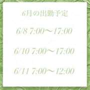 ヒメ日記 2026/06/06 14:17 投稿 ふみ ハピネス東京