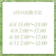 ヒメ日記 2026/06/06 17:07 投稿 ふみ ハピネス東京