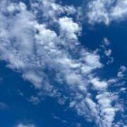 ヒメ日記 2026/09/29 07:37 投稿 ふみ ハピネス東京