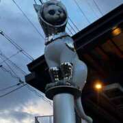 ヒメ日記 2026/01/28 16:13 投稿 しほ 丸妻 厚木店