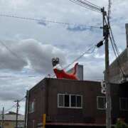 ヒメ日記 2026/01/31 19:46 投稿 しほ 丸妻 厚木店