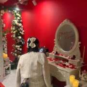 ヒメ日記 2026/01/27 11:07 投稿 桜井あいり★ elumo(エルモ)