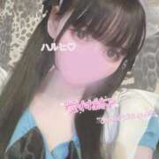 ヒメ日記 2026/01/30 21:23 投稿 ハルヒ E+アイドルスクール　大阪・日本橋店