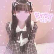ヒメ日記 2026/03/10 15:51 投稿 ハルヒ E+アイドルスクール　大阪・日本橋店