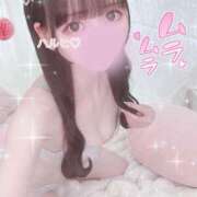 ヒメ日記 2026/03/28 17:05 投稿 ハルヒ E+アイドルスクール　大阪・日本橋店