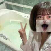 ヒメ日記 2026/03/12 11:12 投稿 ふわ ジャパンクラブ富士