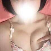 ヒメ日記 2026/04/01 12:03 投稿 ふわ ジャパンクラブ富士