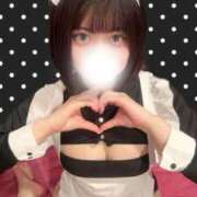 ヒメ日記 2026/04/02 11:16 投稿 ふわ ジャパンクラブ富士