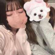 ふわ たのしいこと😚💞 ジャパンクラブ富士
