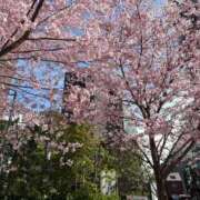 ヒメ日記 2026/03/30 05:09 投稿 ほなみ One More奥様　八王子店