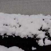 ヒメ日記 2026/02/08 14:32 投稿 かやの 熟女の風俗最終章 新宿店