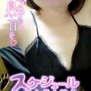 ヒメ日記 2026/03/19 10:32 投稿 かやの 熟女の風俗最終章 新宿店