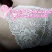 ヒメ日記 2026/03/21 09:34 投稿 かやの 熟女の風俗最終章 新宿店