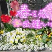 ヒメ日記 2026/03/29 15:52 投稿 かやの 熟女の風俗最終章 新宿店