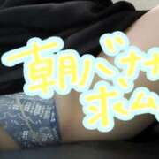 ヒメ日記 2026/04/09 09:34 投稿 かやの 熟女の風俗最終章 池袋店