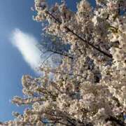 ヒメ日記 2026/04/06 19:14 投稿 えま いざ候 別館