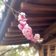 ヒメ日記 2026/02/01 09:37 投稿 さき 梅田アバンチュール