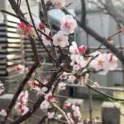 さき ごめんなさい🙇🏻‍♀️💧 梅田アバンチュール