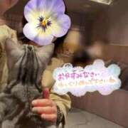 ヒメ日記 2026/04/15 23:02 投稿 さき 梅田アバンチュール