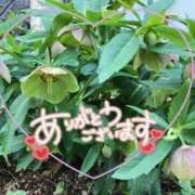 ヒメ日記 2026/04/16 20:52 投稿 さき 梅田アバンチュール