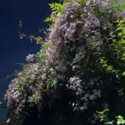 さき 甘い誘惑🕸️ 梅田アバンチュール