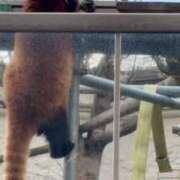 ヒメ日記 2026/08/03 13:22 投稿 さき 梅田アバンチュール