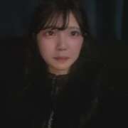 ヒメ日記 2026/01/22 01:56 投稿 ふたば 姫コレクション