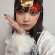 ふたば また会おうねの約束💞 姫コレクション