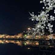 ヒメ日記 2026/04/04 17:55 投稿 はるひ ナチュラルプリンセス