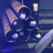 ヒメ日記 2026/02/05 22:40 投稿 かなで 京都出張メンズエステChou Chou（シュシュ)