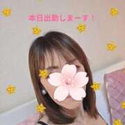 ヒメ日記 2026/06/16 12:50 投稿 早乙女陽彩 五十路マダムエクスプレス横浜店（カサブランカグループ）