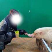 ヒメ日記 2026/01/20 11:38 投稿 つばき(極上SPコース対応) EIGHT（エイト）～8つのお約束と無限の可能性～