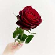 ヒメ日記 2026/02/22 21:05 投稿 かえら バイオレンス