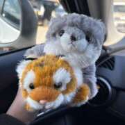 ヒメ日記 2026/03/08 23:35 投稿 かえら バイオレンス