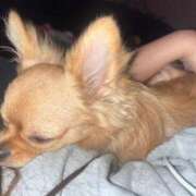 ヒメ日記 2026/01/27 08:32 投稿 りおん 西船人妻花壇