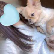 ヒメ日記 2026/03/15 08:42 投稿 りおん 西船人妻花壇