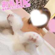 ヒメ日記 2026/01/31 11:28 投稿 あおい One More 奥様　池袋店