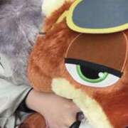 ヒメ日記 2026/01/29 14:01 投稿 らむ 東京♂風俗の神様 町田・相模原店