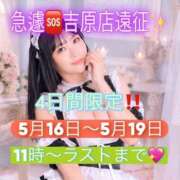 ヒメ日記 2026/05/08 12:26 投稿 みりね ハピネス東京 吉原店